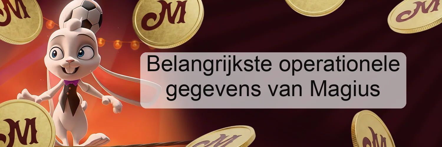 Belangrijkste operationele gegevens van Magius Belangrijkste operationele gegevens van Magius