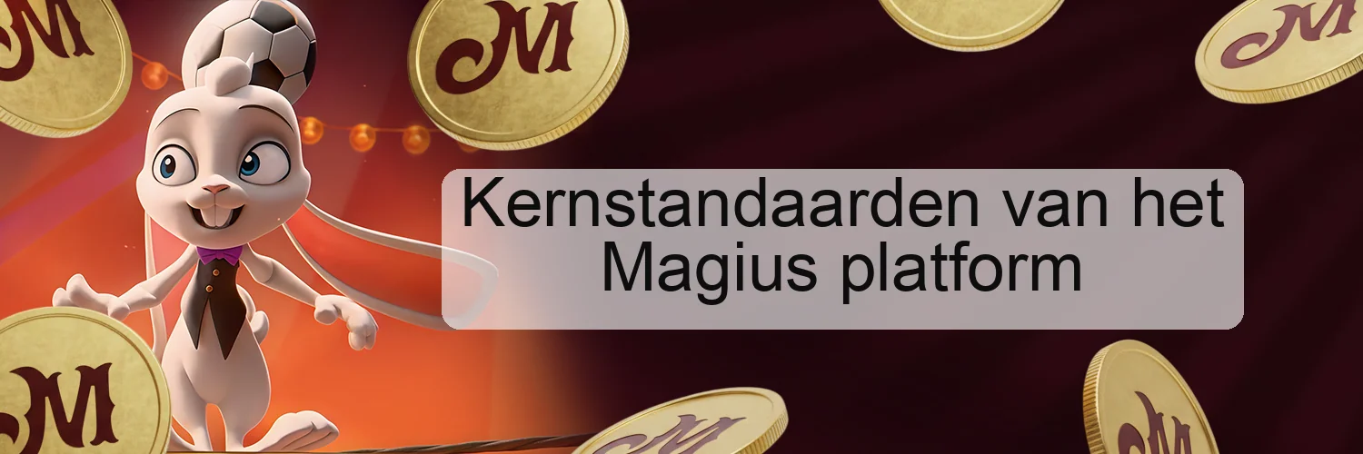 Kernstandaarden van het Magius platform Kernstandaarden van het Magius platform