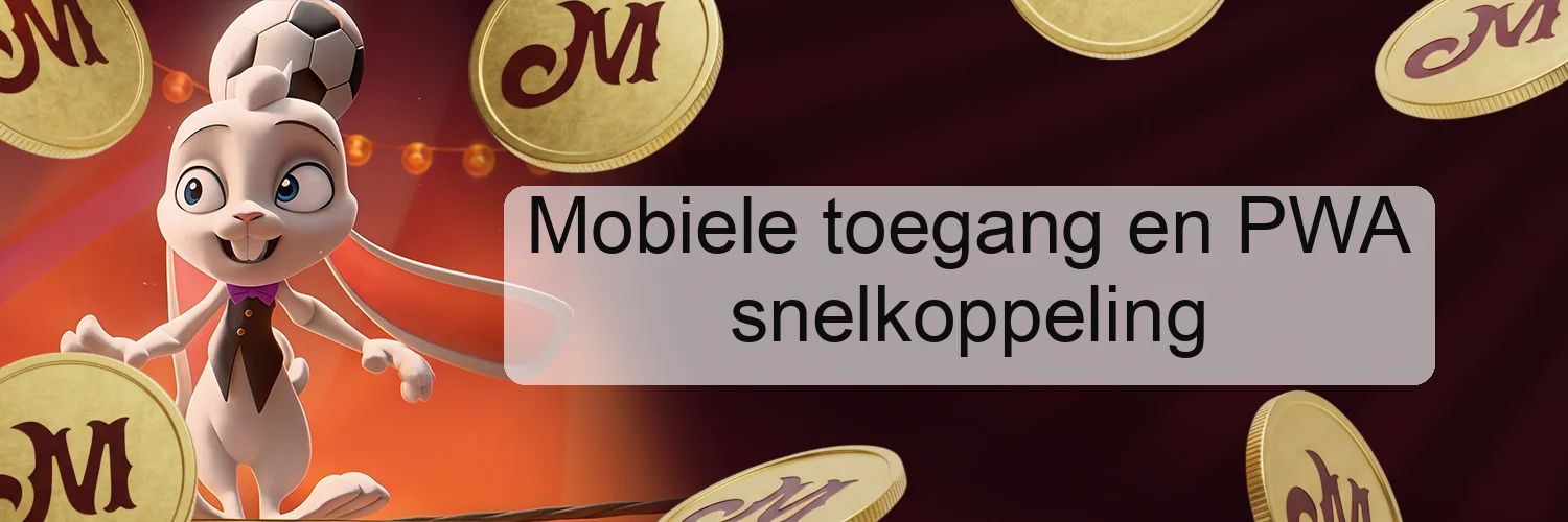 Mobiele toegang en PWA snelkoppeling Mobiele toegang en PWA snelkoppeling